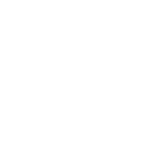 Logo Veka